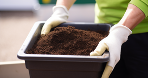 How to Use Coffee Grounds in Your Vermicompost Bin